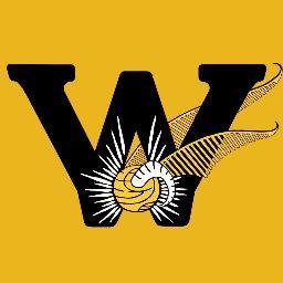 Wizengamot Quidditch, the Quidditch club of VCU.