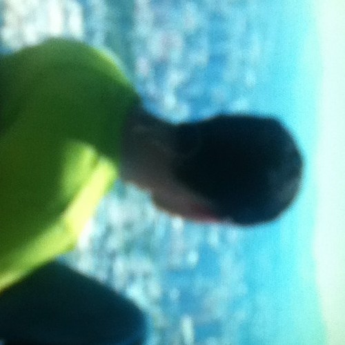 andreidolinger's profile picture. 