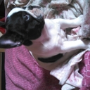 Sandra Baptista - @Sandra29844240 - Twitter