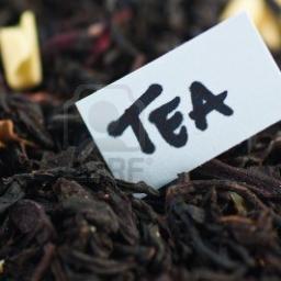 TamKutzmark's profile picture. 