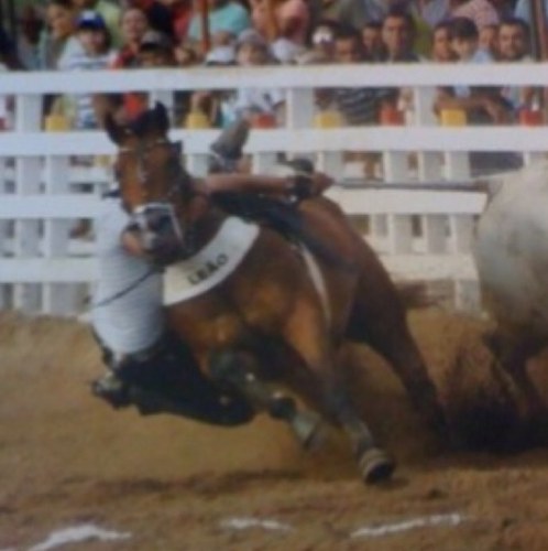 Corro pra um dos melhores grupos de vaquejadas grupo durango com os melhores cavalos das vaquejadas....