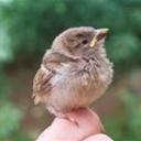 Tanner Phillips - @MatthewCommings - Twitter