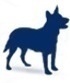 We provide a nationwide database of Pet Care providers and pet health stories to keep your animals healthy and happy.