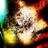 zucamania's profile image