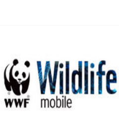 SIM only UK mobile network giving money to WWF to help save the natural world with every call & text. We tweet about 30x a week on wildlife & the environment