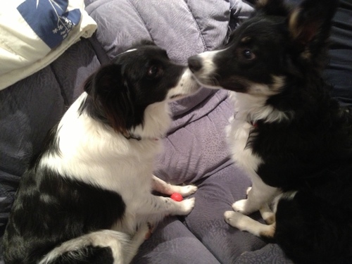 jbcocorum's profile picture. you follow me . i will follow you . and we all get lost together