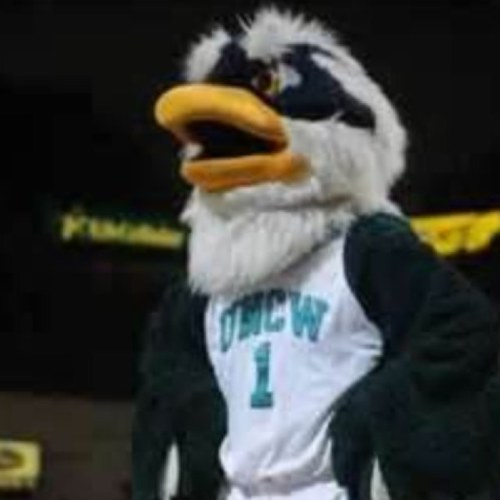 The life and times of The Sassy Seahawk #UNCW