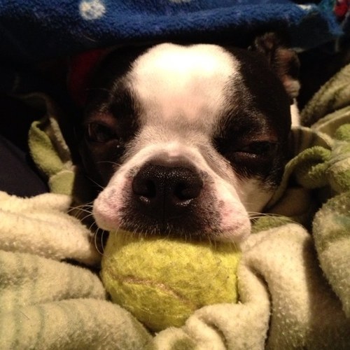 mbart15's profile picture. 