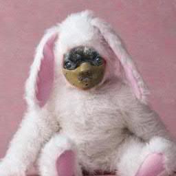 Klakkakongen's profile picture. Konge