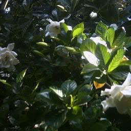 remybenoit's profile picture. Historian, writer, editor, publisher, book reviewer, educator, and long time Veteran Advocate.