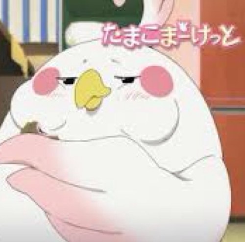 デラ モチマッヅィ Dera Mochi Chan Twitter デラ モチマッヅィ Dera Mochi Chan Twitter