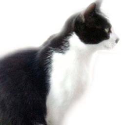 ウォーキング好き、て言うか徘徊かな