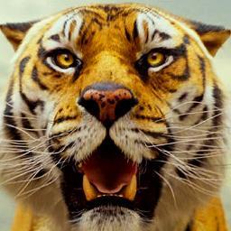 リチャード パーカー Tiger Pijp Twitter