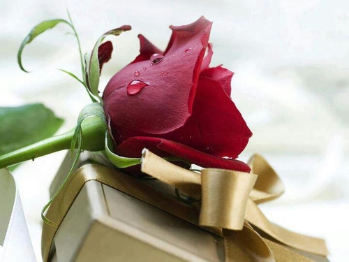 Executive MBA
                                                                         ❤️ازرع جميلاً ولو في غير موضعه❤️