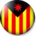 Jose RIUS (@rius_jose) Twitter profile photo