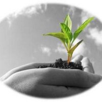 Agriculture (@agriculture24x7) Twitter profile photo
