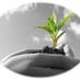 Agriculture (@agriculture24x7) Twitter profile photo