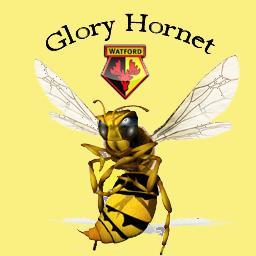 Watford FC Fan since 1975, Football/Goalkeeping Coach