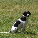 Tim Richard - @dhsurry - Twitter