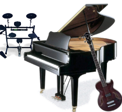 Owner of the Free Musician Website, Sign up and advertise your band for free.