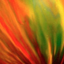 WAUMISS's profile picture. psych-pop nerds, puppy huggers