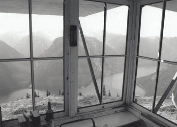 o_mayakovskaya's profile picture. 