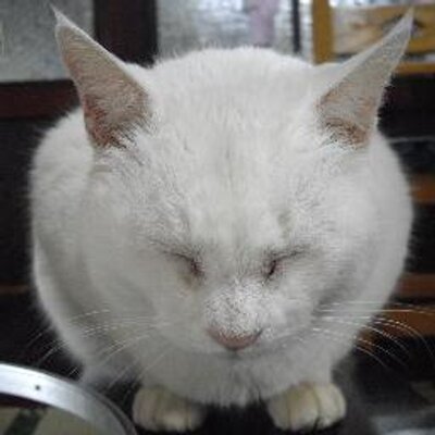 かず