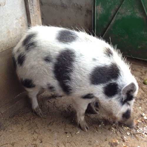 JFMUN0Z's profile picture. 