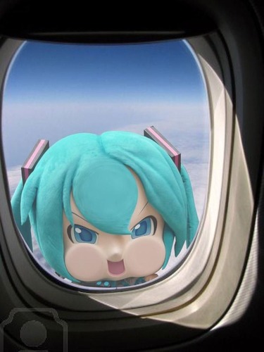 たこわさびさんのプロフィール画像