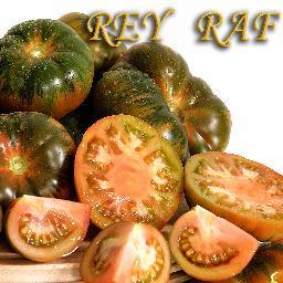 Tomate Raf de Cabo de Gata, Níjar
Una delicia en el paladar REY RAF CINCO CORONAS
http://t.co/wEQaH62mGQ
http://t.co/qyjfExAjXz
http://t.co/vlwcR2nBLv