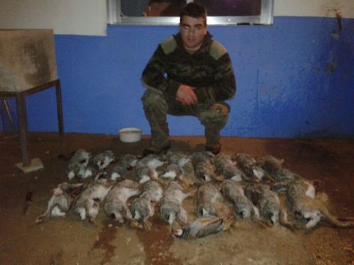 17. Vividor follador y cazador jaja.