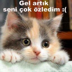 okuyorum