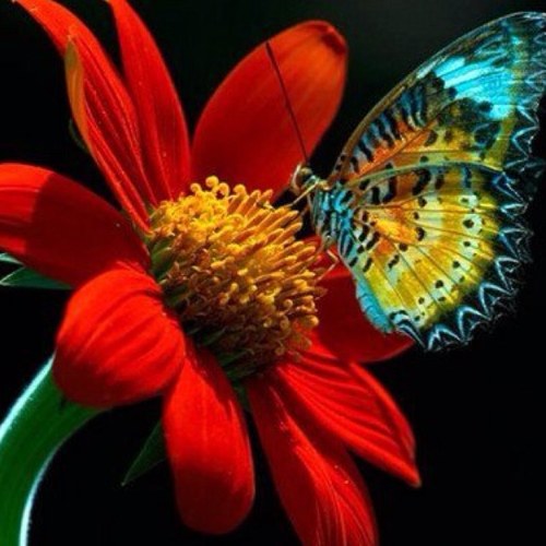 MzNell's profile picture. Don't judge me! You never know, you might be entertaining an Angel; Destined for Greatness!!!!