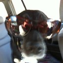 Barbara Snyder - @Snyds53 - Twitter