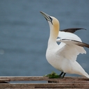 nada atef abbas - @7yah_el_nada - Twitter