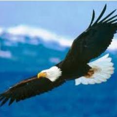 rajumehare's profile picture. 