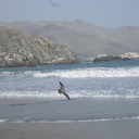 marilucy Rosa Schulz - @MarilucyRosa - Twitter