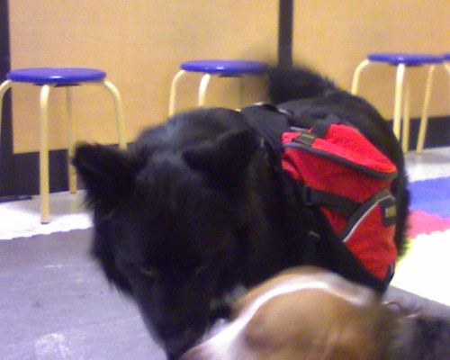 ngangy's profile picture. 