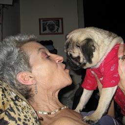 Jyllyanjf's profile picture. I'm 6 and Moms baby, she says I'm the prettiest Pug ever.I play with my 2 cats&my stuffed toys, watch TV & lick everything. Freilassing-Germany.