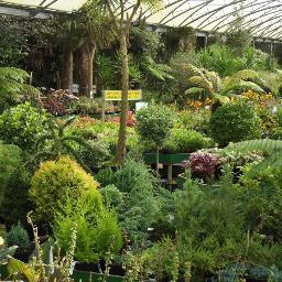 Independent 35 acre Cornish nursery & garden centre growing Cornish plants for Cornwall and the rest of the UK!