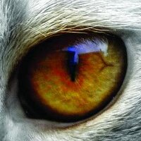 Mark Polson (@theactualpolson) 's Twitter Profile Photo Mark Polson (@theactualpolson) 's Twitter Profile Photo