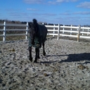 brittany wyatt - @brittany4jasper - Twitter