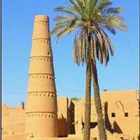 عبدالرحمن الحيدر (@miqdam80) 's Twitter Profile Photo