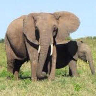 夢の名言集 老いは怖くない 目標を失うのが 怖い 何のために長生き したいのか 健康の先に何を見たいのか その目標がはっき りしないと ただの怠け者になってしまう 三浦雄一郎 プロスキーヤー 夢の名言集 老いは怖くない 目標を失うのが 怖い 何のために長生き したいのか 健康の先に何を見たいのか その目標がはっき りしないと ただの怠け者になってしまう 三浦雄一郎 プロスキーヤー
