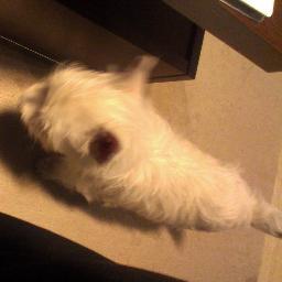 giomaraki's profile picture. 