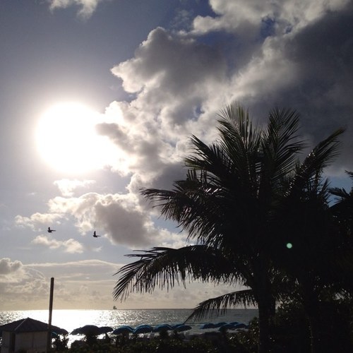 slsempier's profile picture. Loving Life!❤️ Independent in many forms 🎼lover 🇺🇸🍸🍔