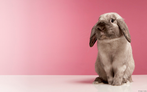 aridana6's profile picture. 