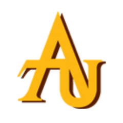 Adelphi University, Center for Health Innovation (CHI)