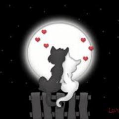 LifeLoveLogic's profile picture. just talk about reality of Life Love and Logic