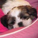 sandra langley - @sandralangley48 - Twitter